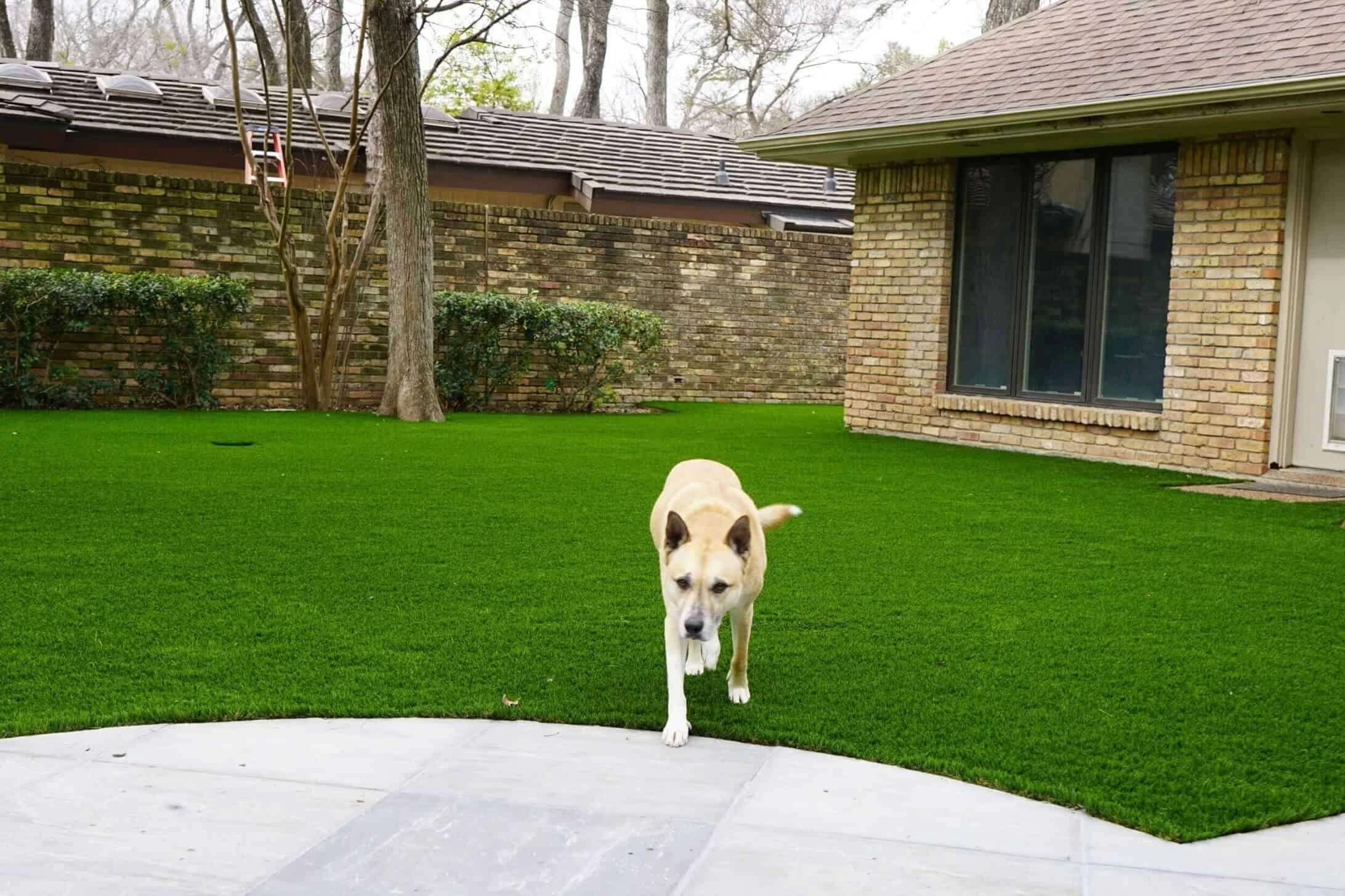 Pet Turf Installation in Tomball, TX